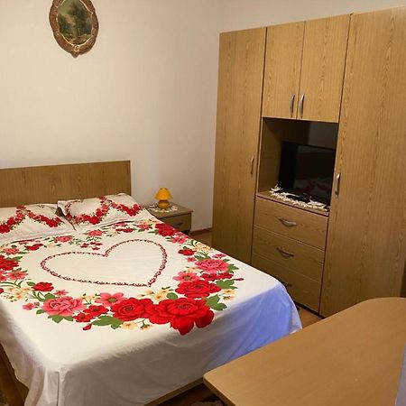 Garsoniera Delfinariu Hotell Constanţa Exteriör bild