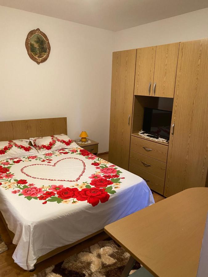 Garsoniera Delfinariu Hotell Constanţa Exteriör bild