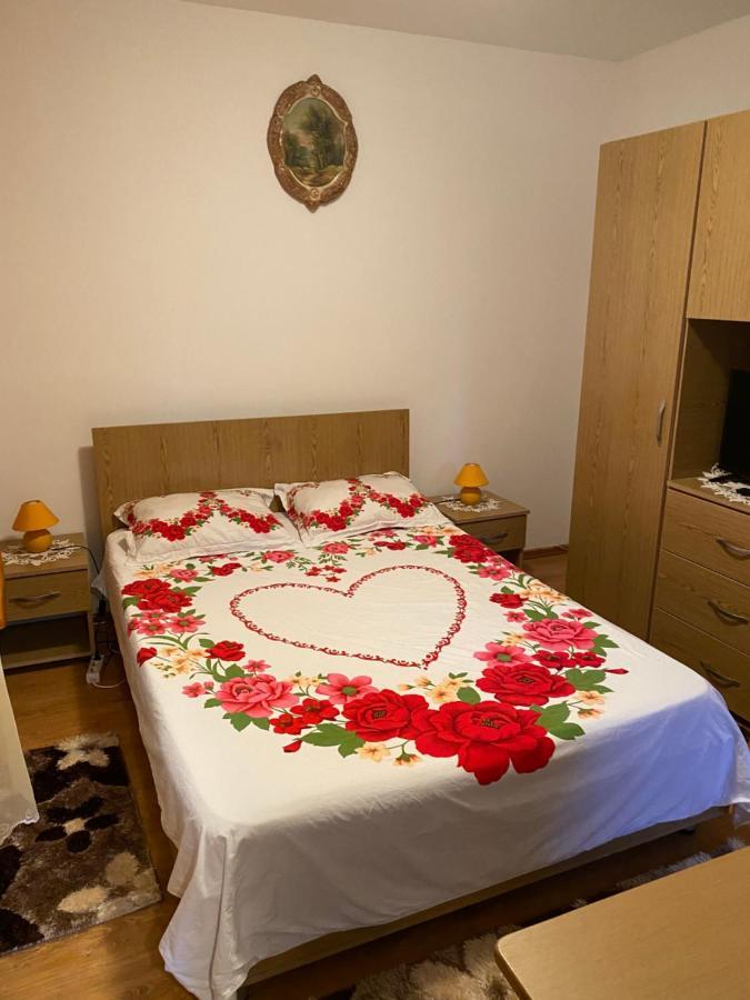 Garsoniera Delfinariu Hotell Constanţa Exteriör bild